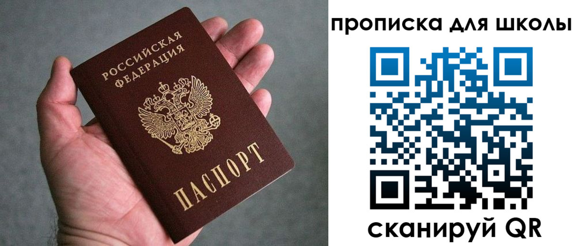 прописка для школы в Иваново